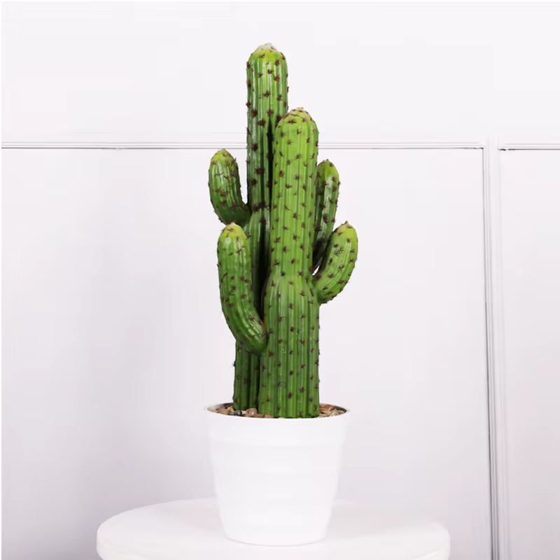 Cactus Plante Succulente Artificielle