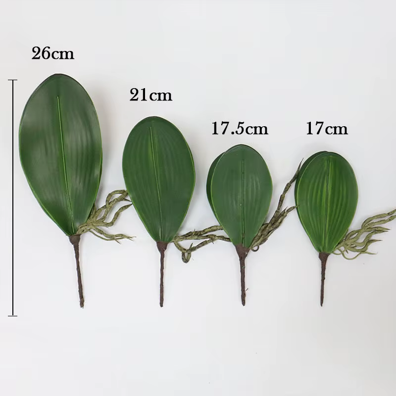 Plantes artificielles, feuilles de Phalaenopsis