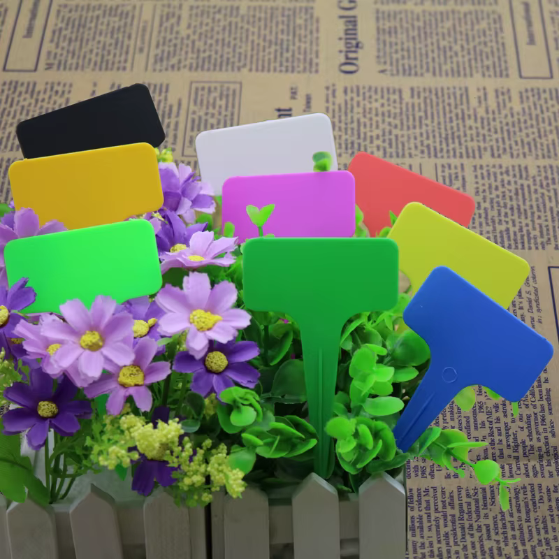 Étiquettes attro de plantes en plastique de type T pour décoration de jardin