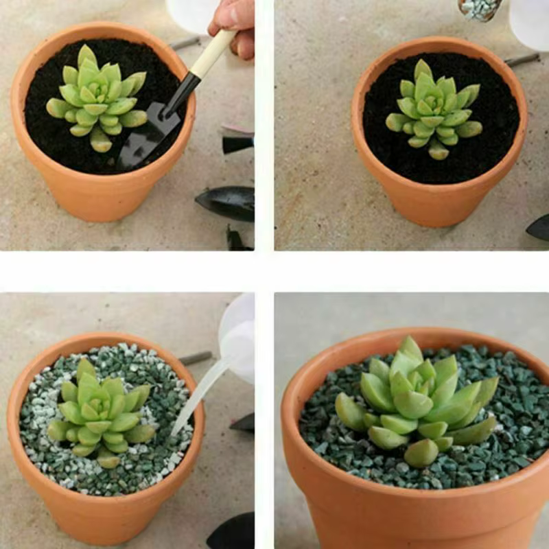 Pot de fleur en poterie rouge