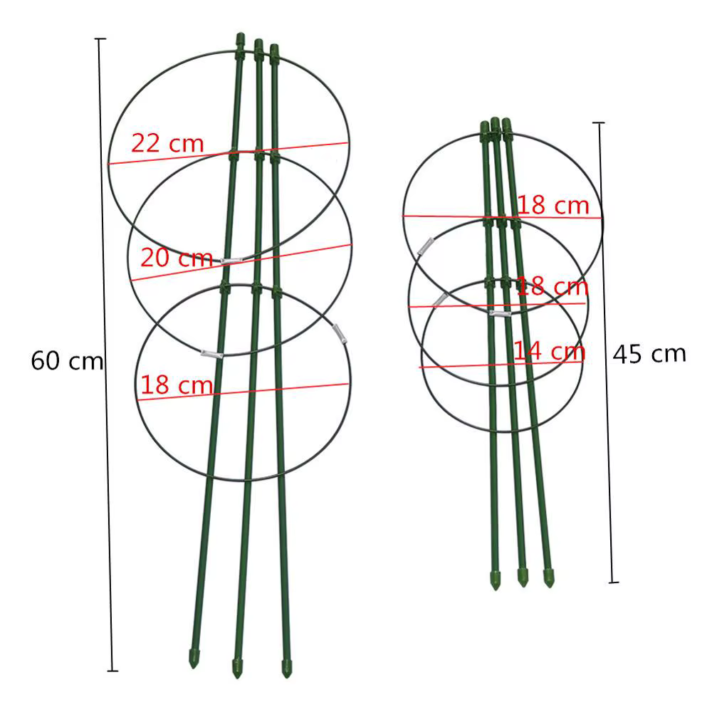 Support de plantes grimpantes