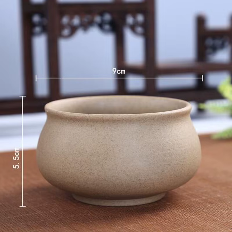 Pot de plante succulente en poterie grossière rétro