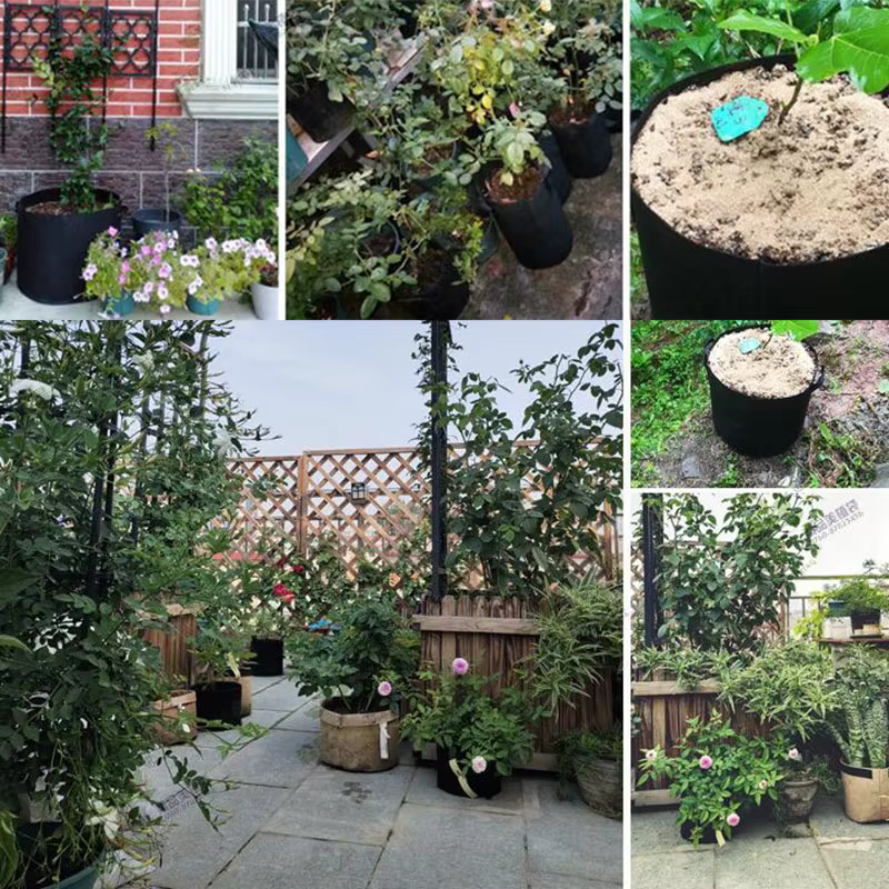 1-30 gallons grande plante fleur sacs de culture pot maison outils de jardin pomme de terre fraise tissu légumes