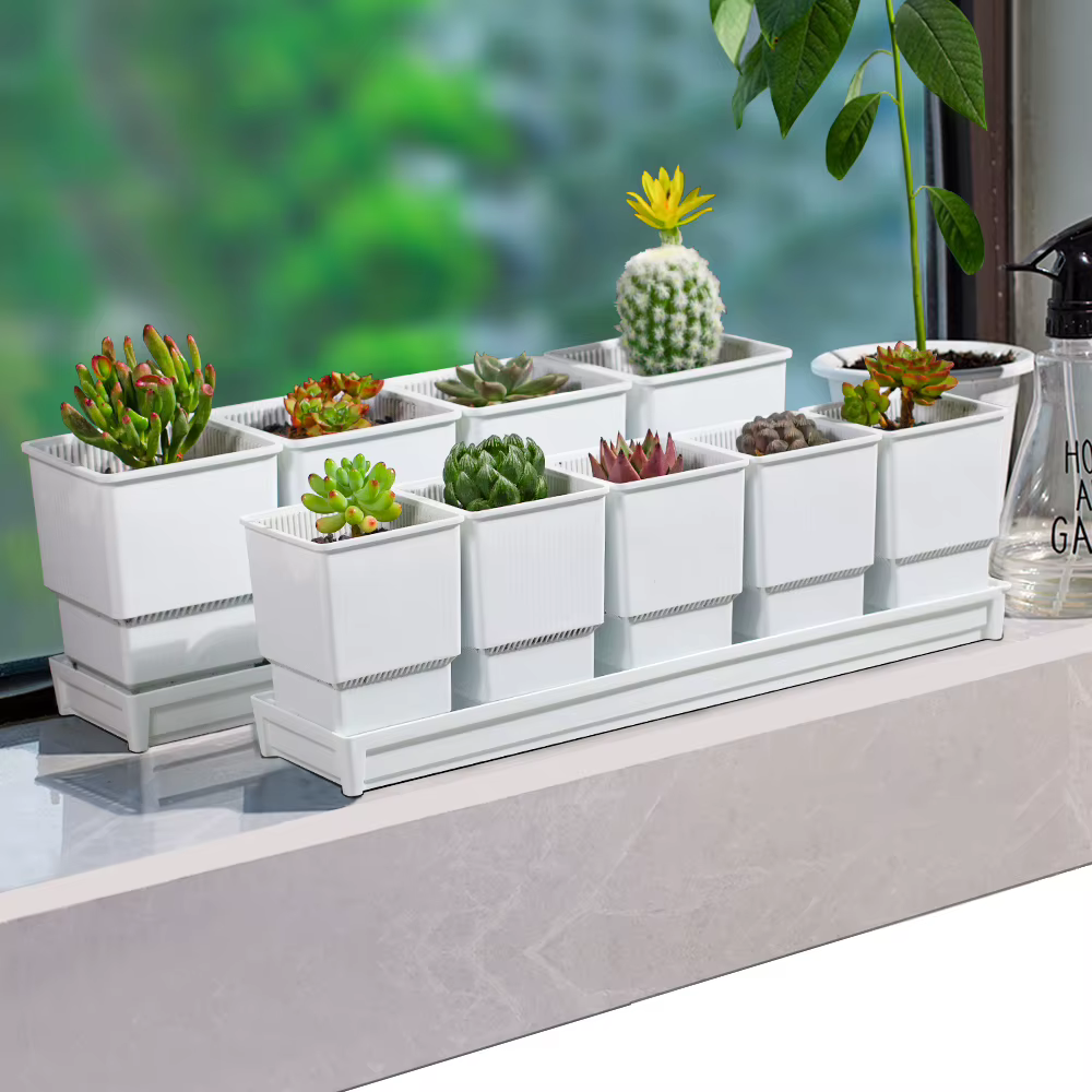 Meshpot – jardinières succulentes avec plateau en plastique