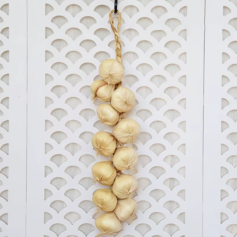 Simulation de ficelle d'ail et de légumes artificielle