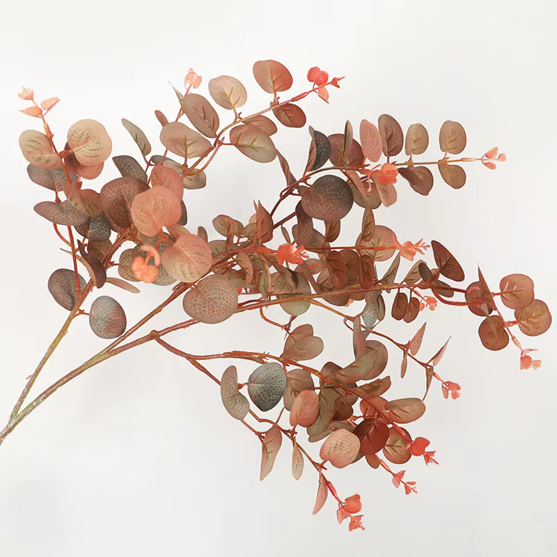 Feuille d'eucalyptus de style d'automne