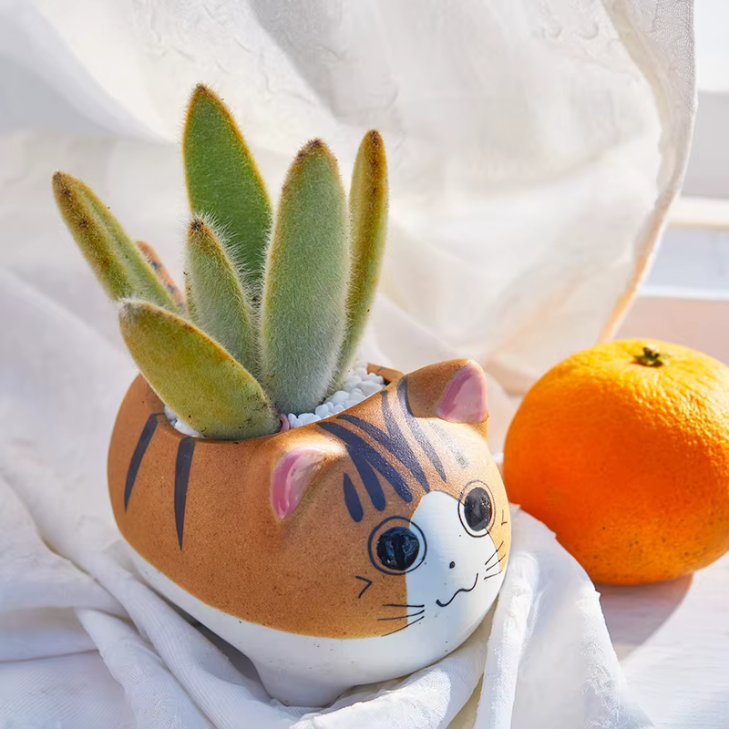 Pot de fleur en céramique pour bonsaï
