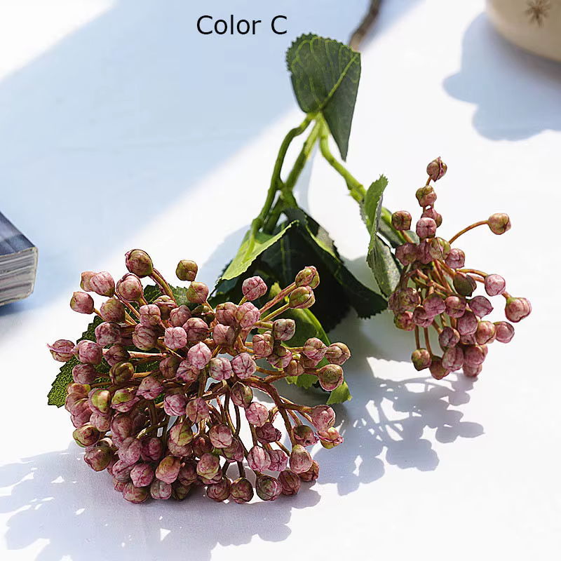Branches de fruits de baies d'hortensia