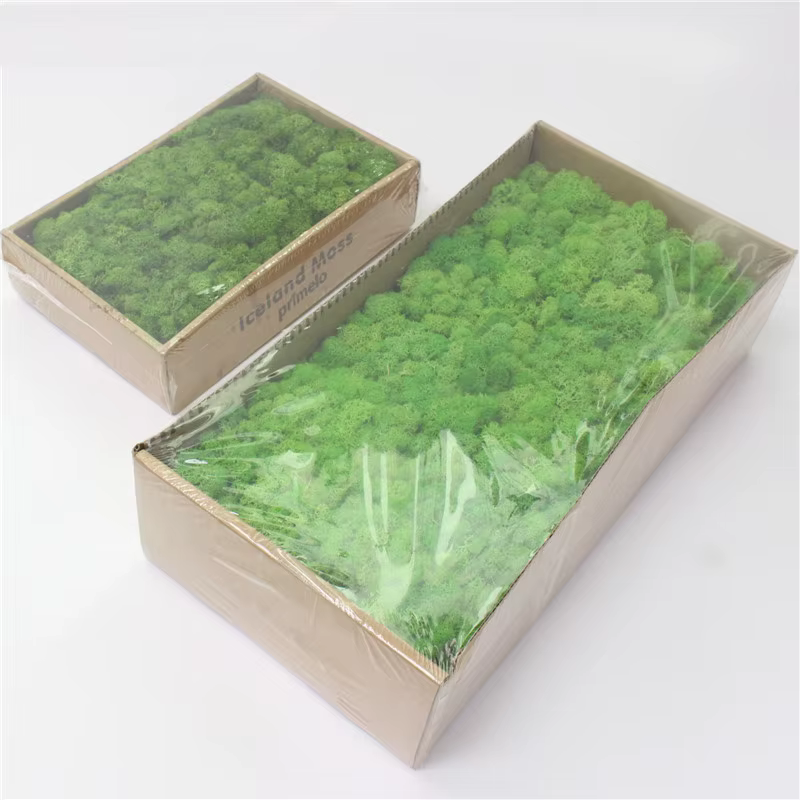 Plante Verte Artificielle