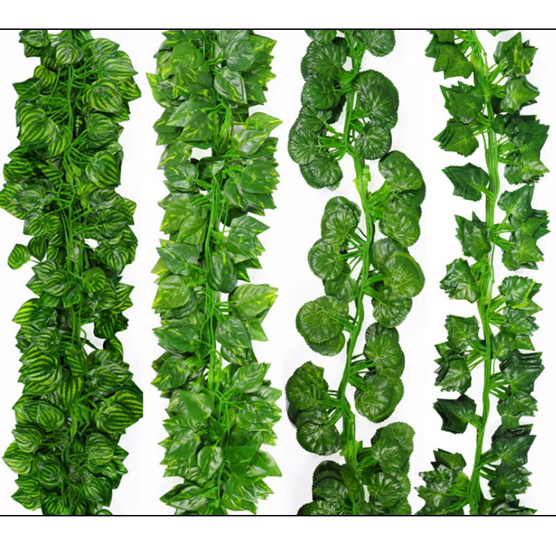 Feuilles de vigne vertes de 2 mètres