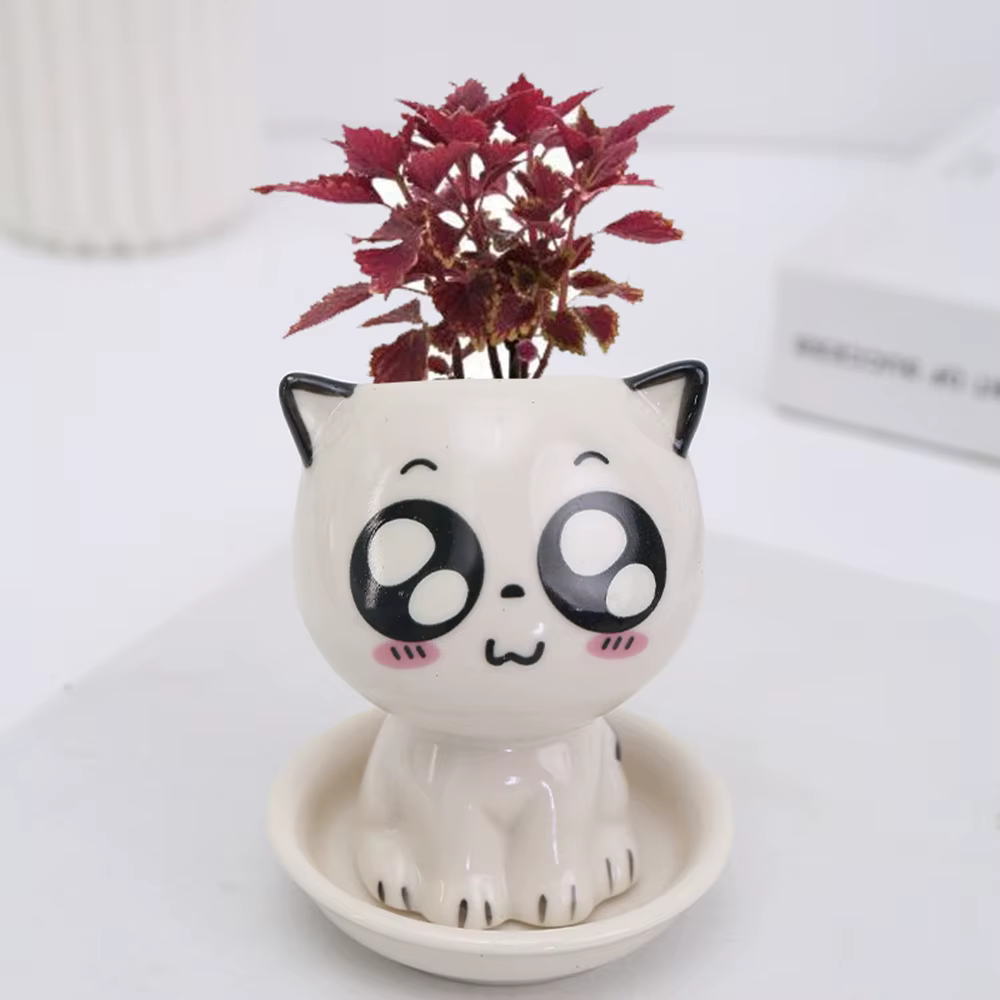 Mini Pot de Fleurs en Céramique en Forme de Chat
