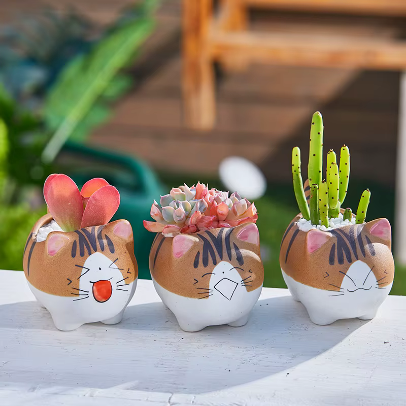 Pot de fleur en céramique pour bonsaï