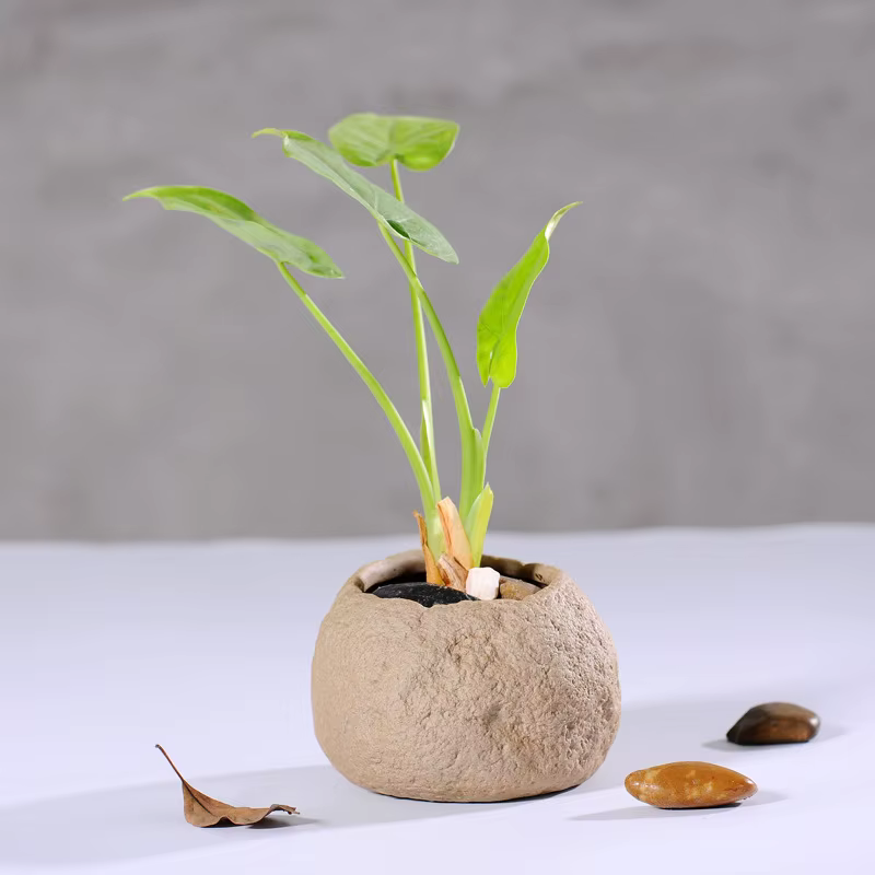 Pots de fleurs charnus en grès faits à la main