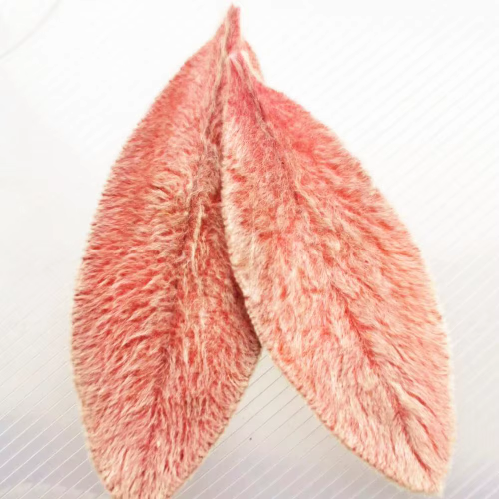 Feuilles de Lanata préservées