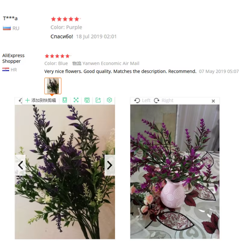 Plante verte lavande, bouquet d'herbe d'eau