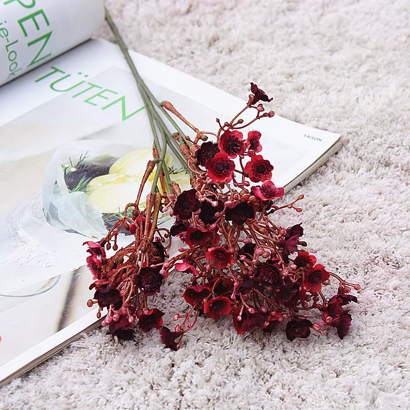 Fleur de gypsophile pour la décoration de la maison