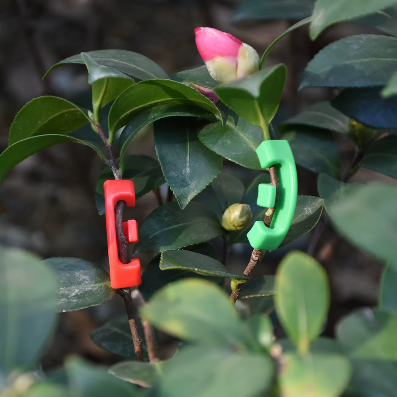 Vignes de plantes en plastique résistantes à 90 degrés