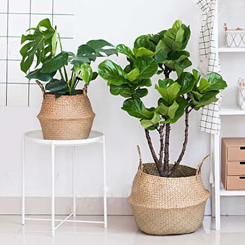 Tissé sale stockage jonc de mer osier rotin suspendu Pot de fleur plante organisateur jardin Gadgets support Ganzш Kala Для Цтатов