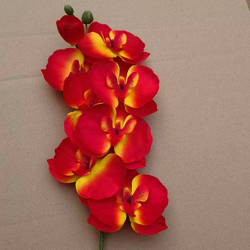 Fleurs d'orchidée papillon artificielles 3D, fausse fleur de mites pour la maison, décoration de mariage bricolage, vraie touche, décorations pour la maison