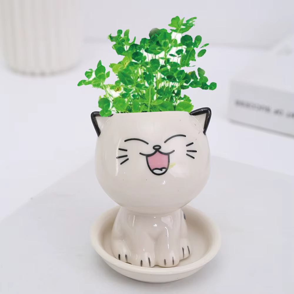 Mini Pot de Fleurs en Céramique en Forme de Chat