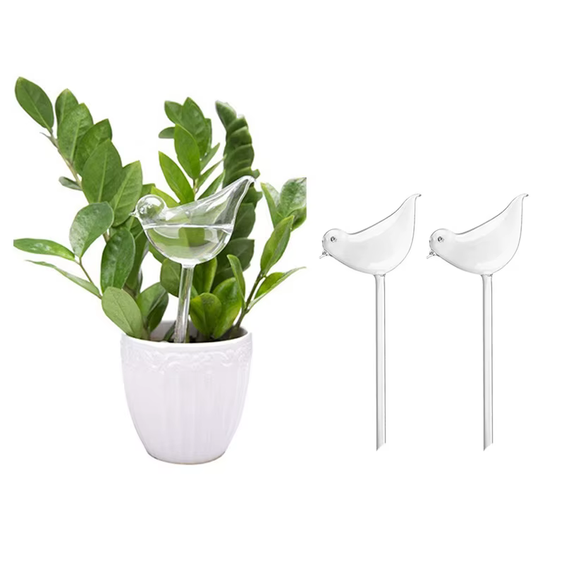 Ampoules d'arrosage automatique pour plantes