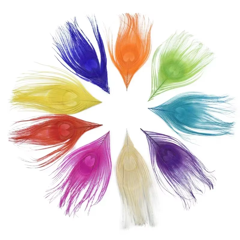 Lot de 10 Plumes de Paon Colorées 10-15CM