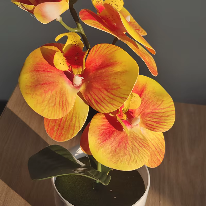 Bonsaï simulé papillon orchidée artificielle plante en pot bureau Table à manger maison