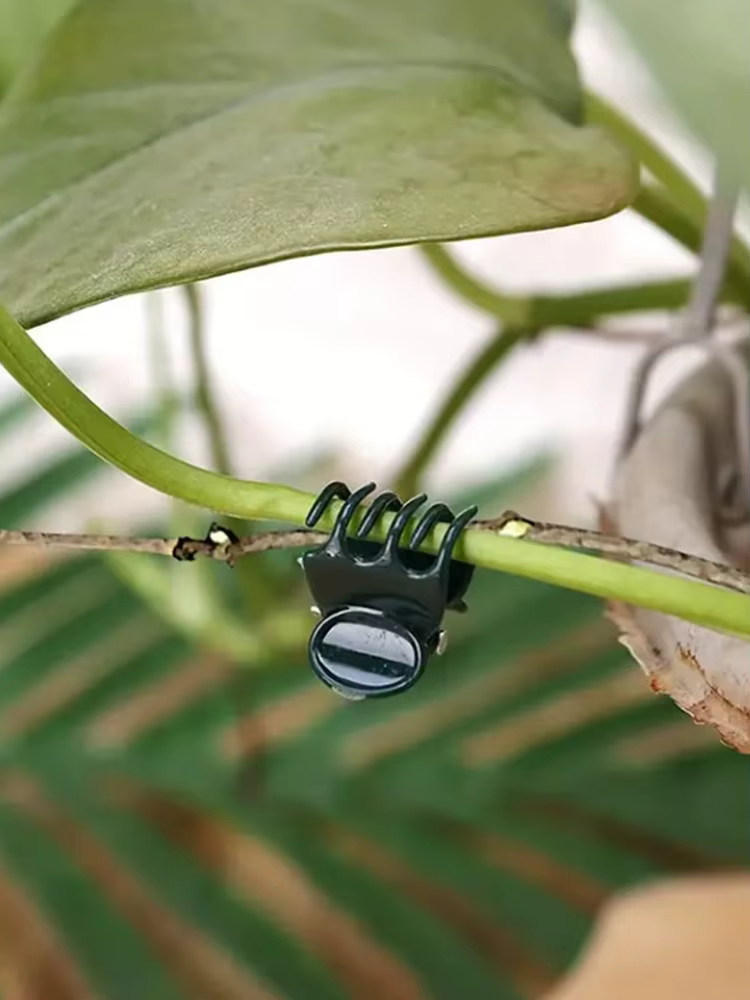 20 pinces de soutien pour plantes - Gardez vos orchidées et vignes droites pour une croissance optimale !