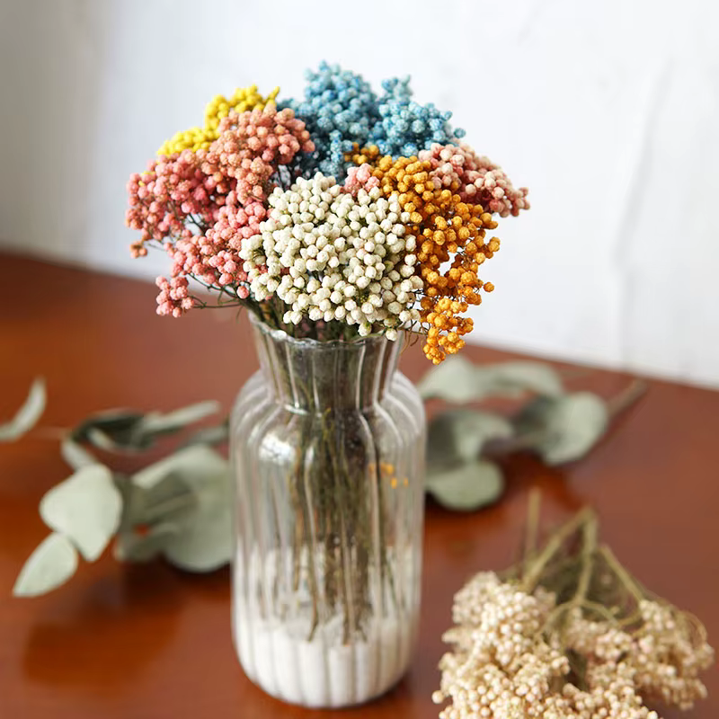 Fleur de Millet de riz