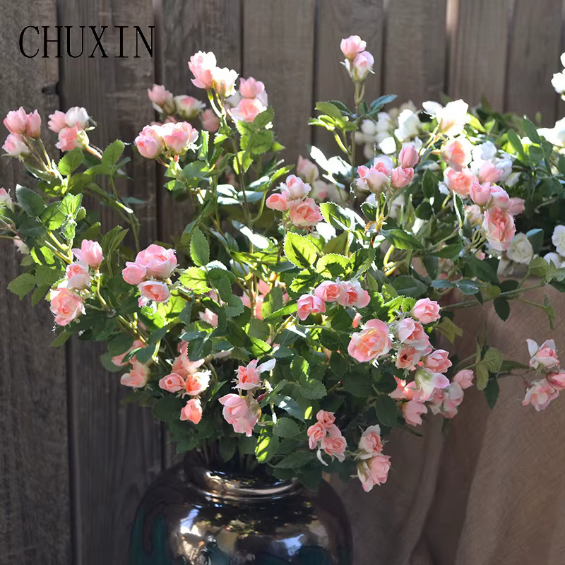 Mini Bouquet de roses, plantes