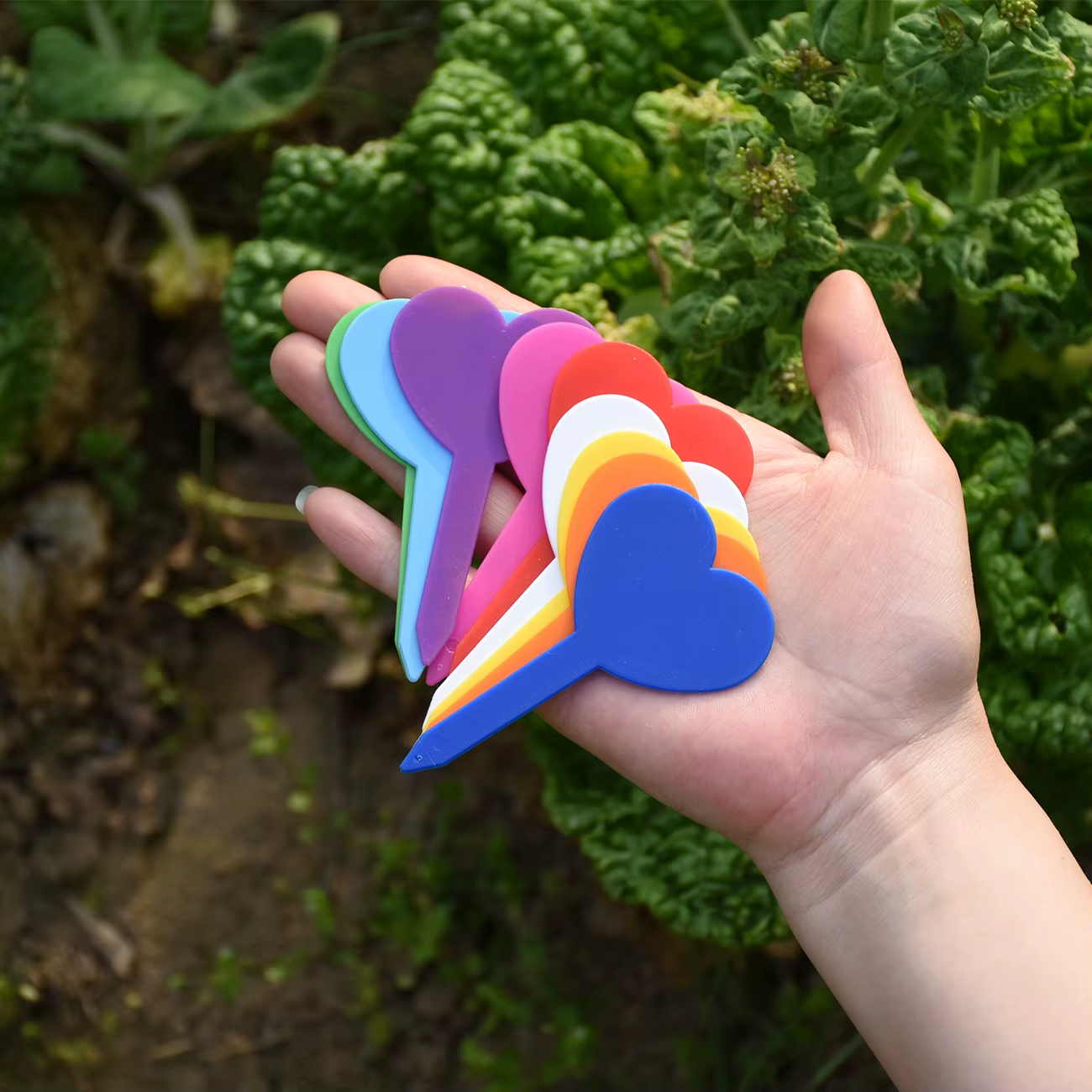 Étiquettes en plastique imperméables pour plantes de jardin