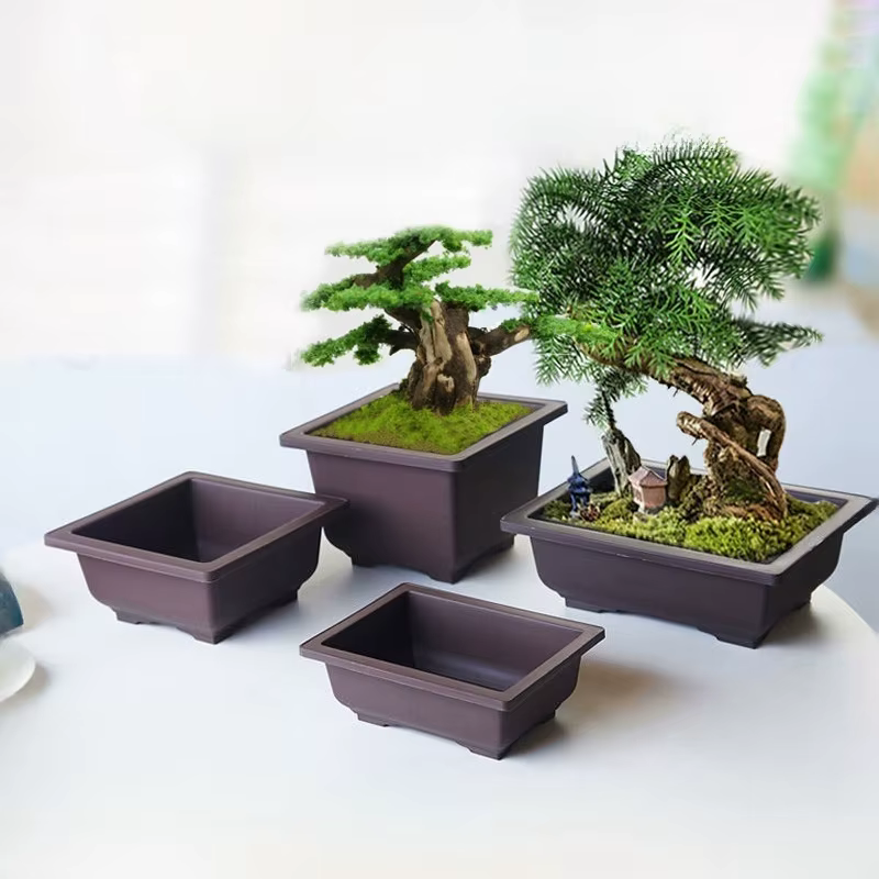 Pots à bonsaï ovales en plastique