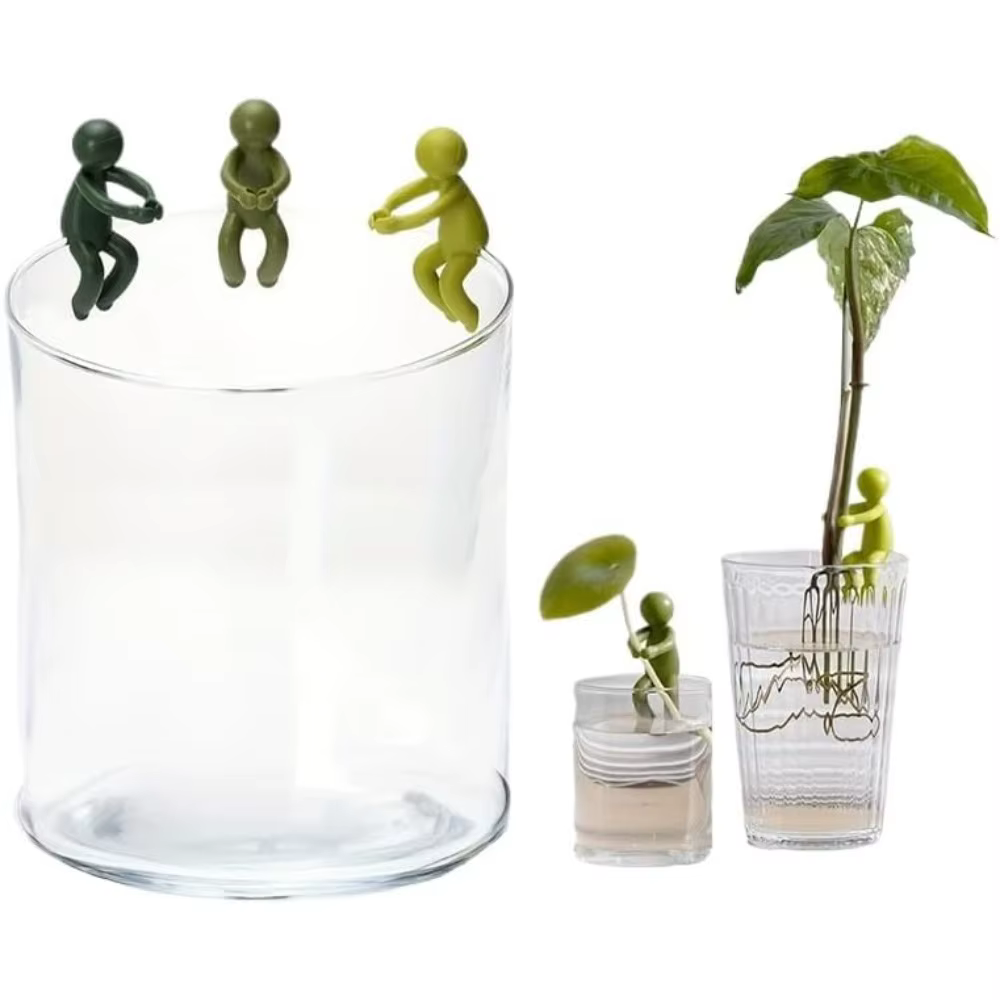 Support de propagation de plantes mignon