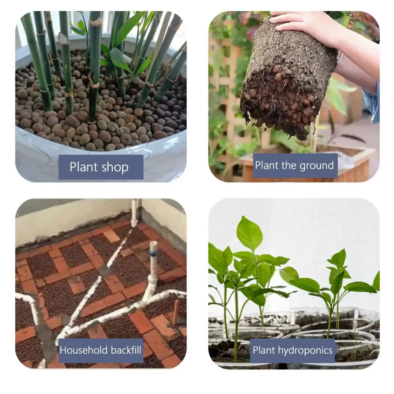 Leca IkClay Peays l pour plantes
