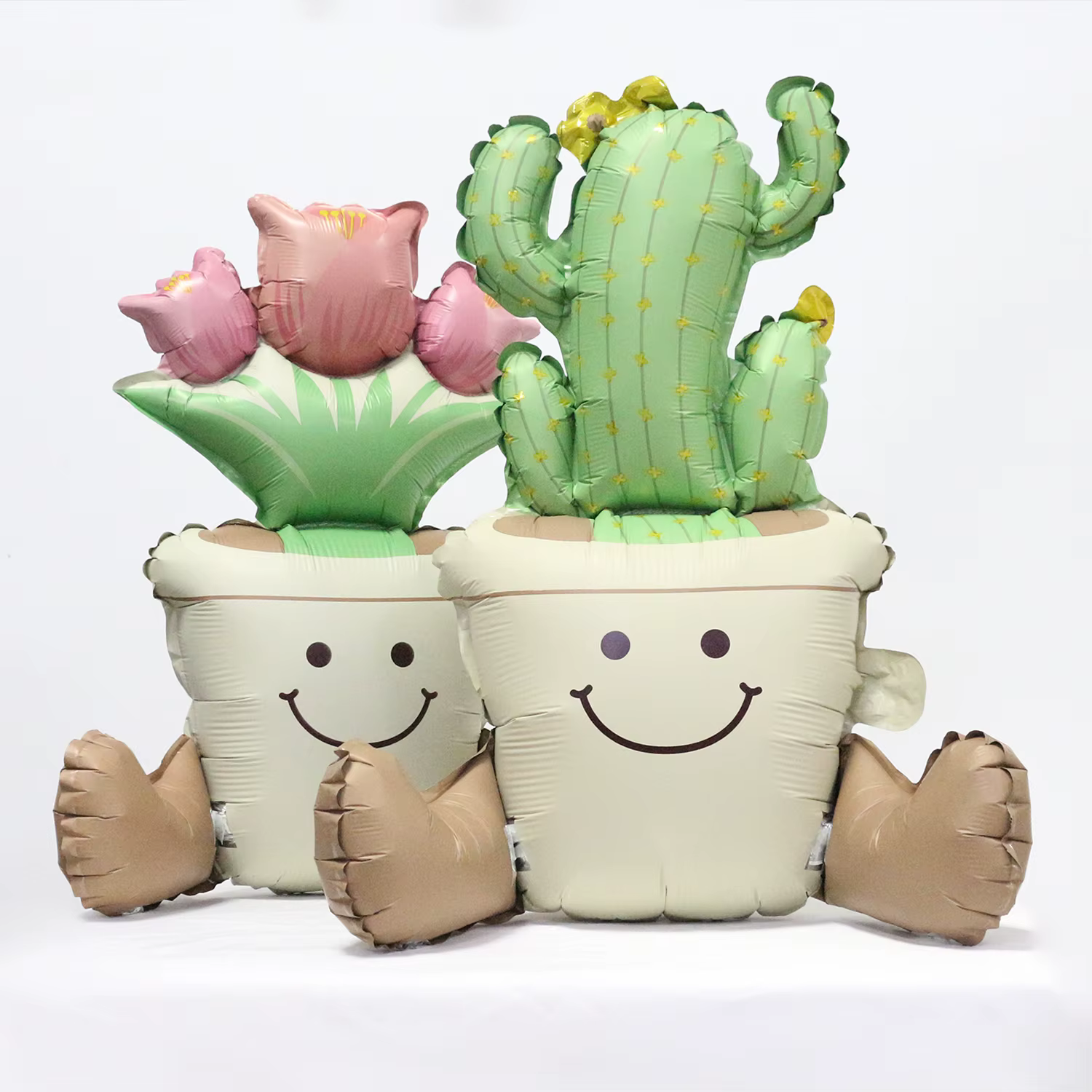 Ballon en pot de fleurs de Cactus et de tulipe mat