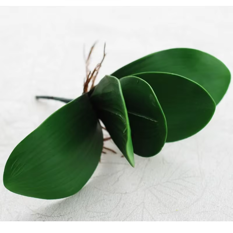 Fleur de simulation du cuir chevelu d'orchidée