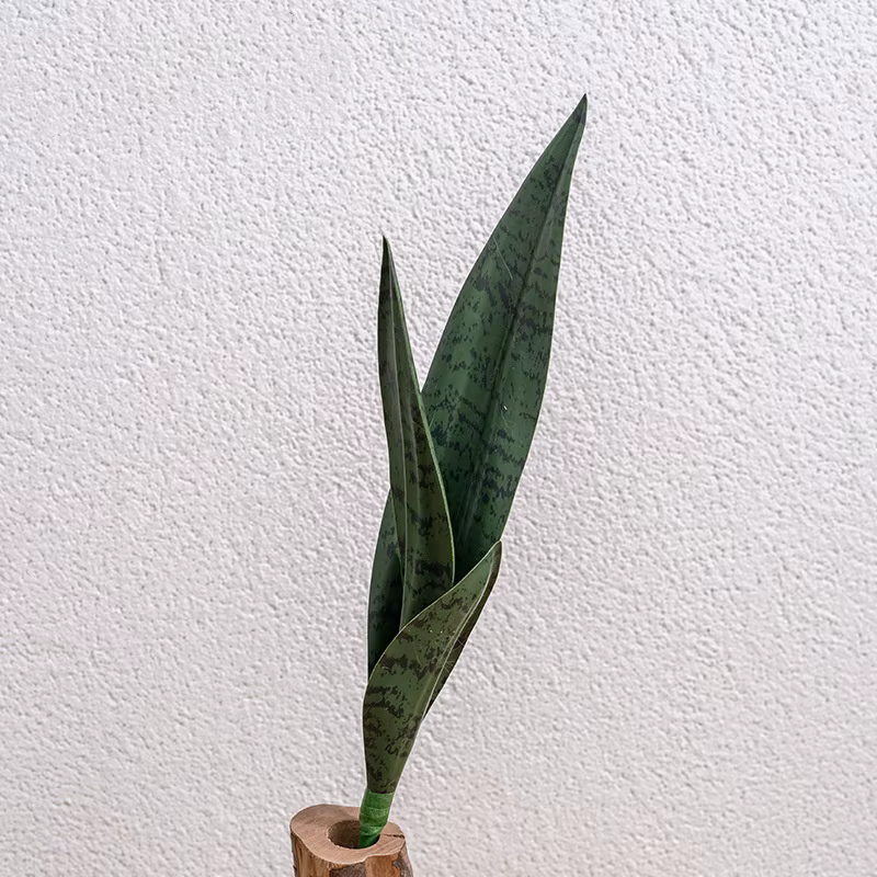 Plante serpent artificielle
