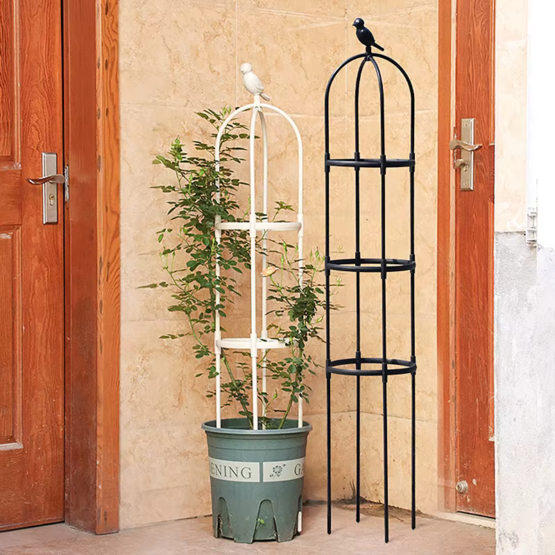 Cadre de support grimpant pour plantes grimpantes