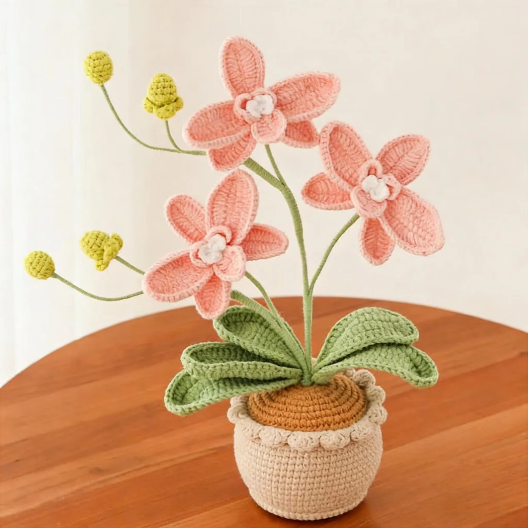 Nouvelle plante en pot en laine