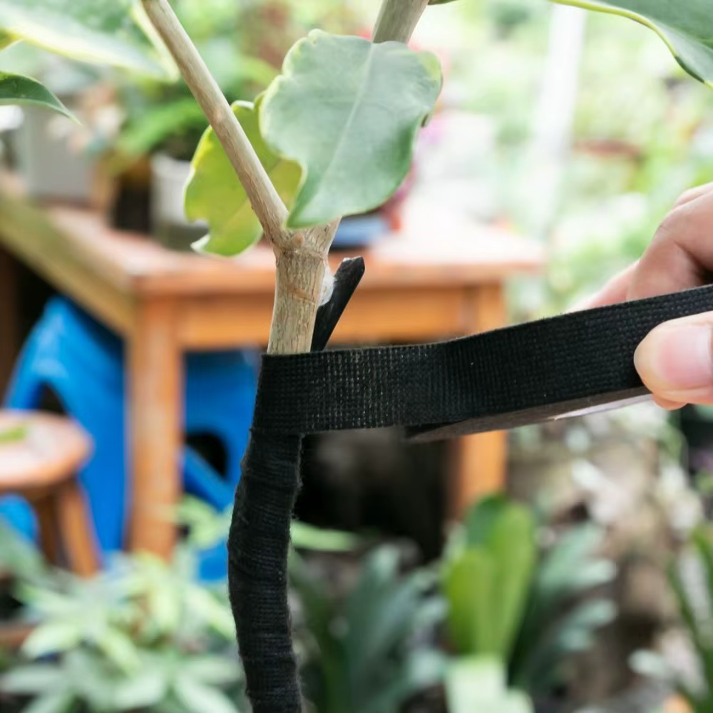 Ruban adhésif pour plantes en velours noir