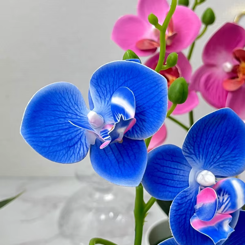 Simulation de 5 fleurs