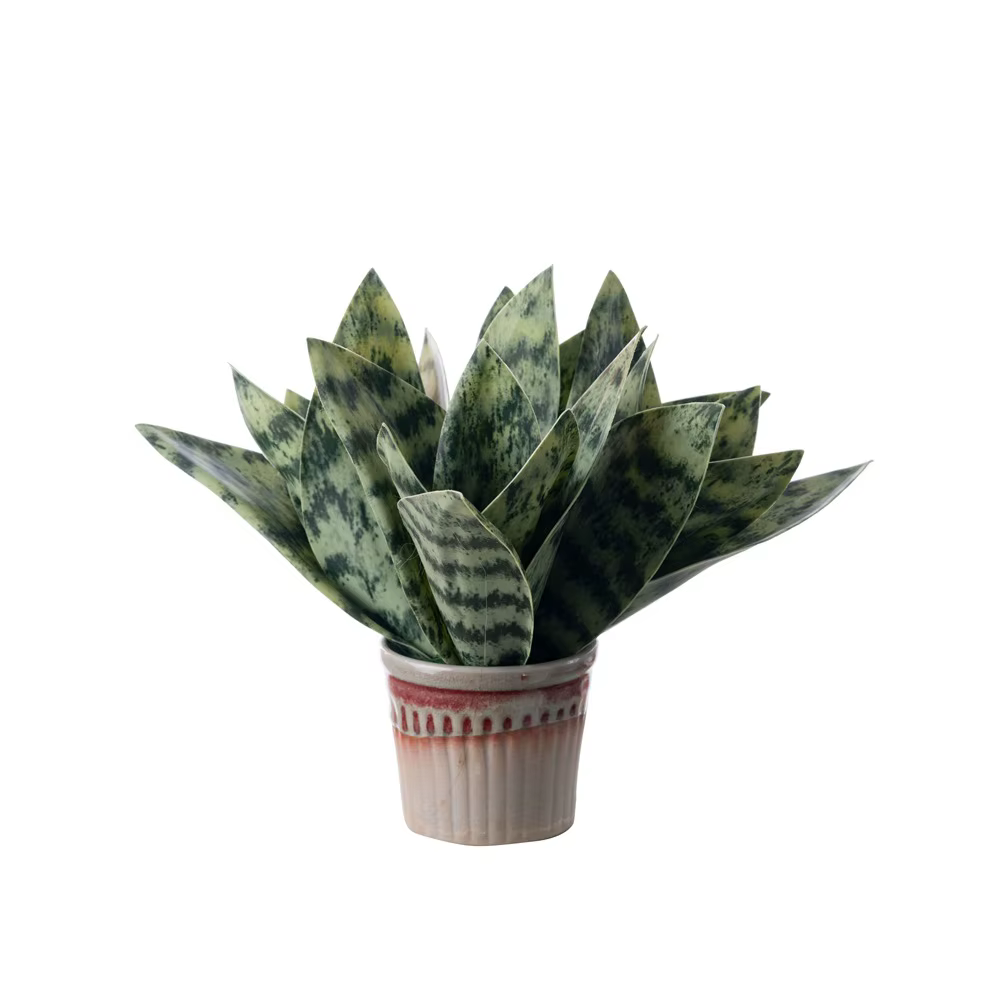Plante serpent artificielle