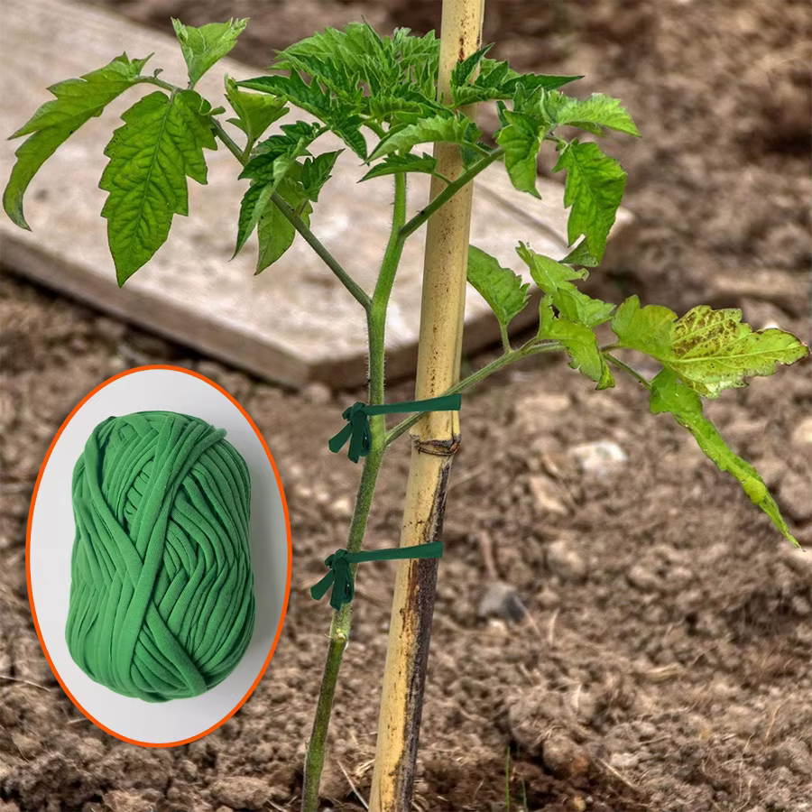Corde de support pour plantes