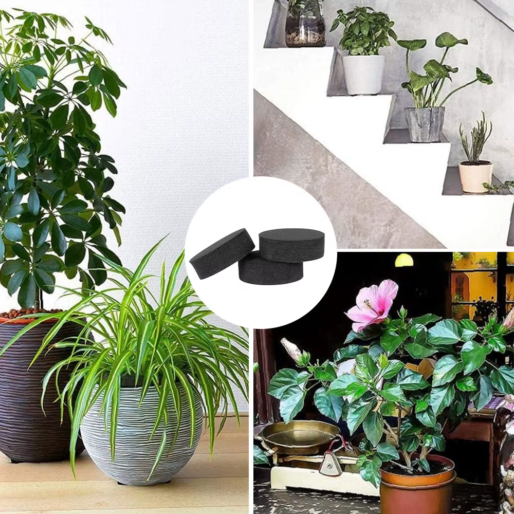 Riser de pot de fleur invisible pour plantes
