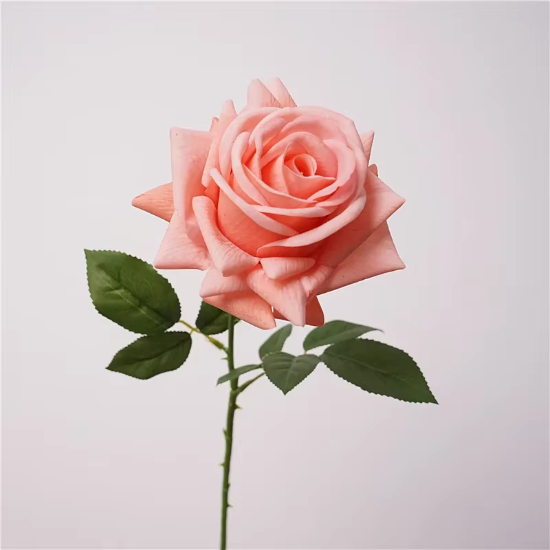 5 pièces sensation hydratante vraie touche Rose fleur fleurs artificielles décor de Mariage