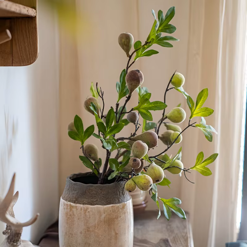 Branche de fausse figue avec fruit