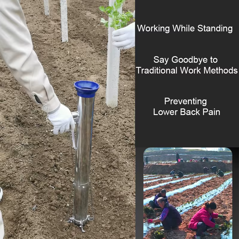 Transplanteur de semis en acier inoxydable