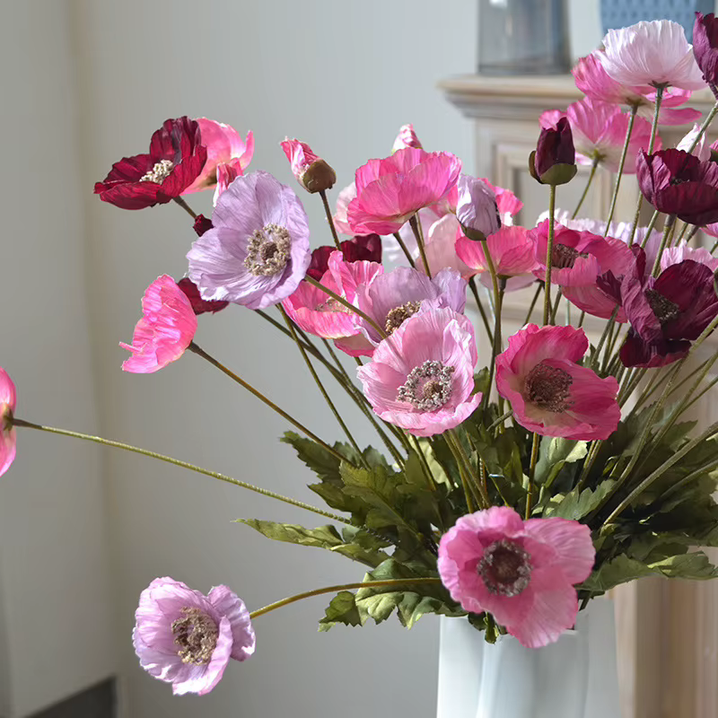 59M américain automne Vintage coquelicot fleur Tour Clap mains tenir fleurs photographie maison mariage salon