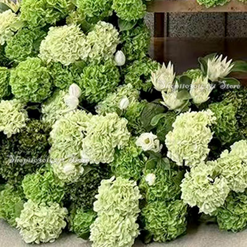 Hortensia vert mariage toile de fond arc fleur coureur KT conseil décor rangée florale fleurs boule Arrangement affichage événement fête accessoires