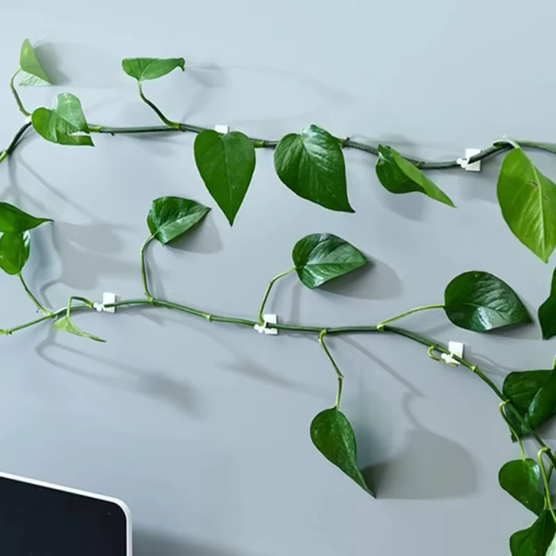 20/40/60 Pièces Crochets universels de fixation murale pour plantes vertes